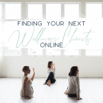 finding your next wellness clients online